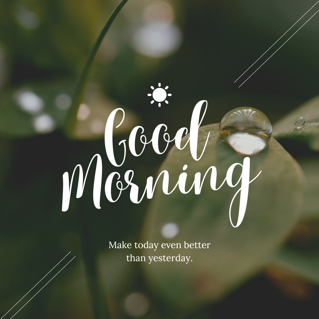 A Fresh Start A Good Morning with Dew Drops on Leaves lovely Good Morning Images